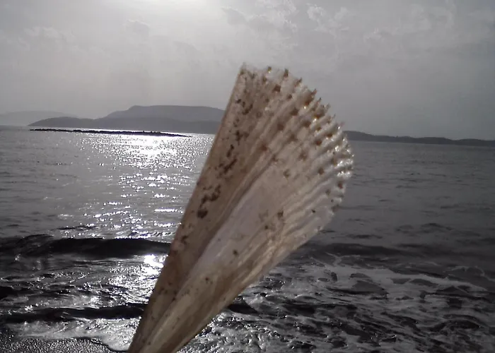 Pensión Armonia By Grispos 3*