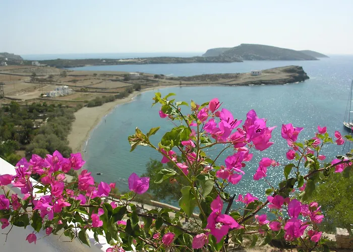 Armonia By Grispos Schoinoussa