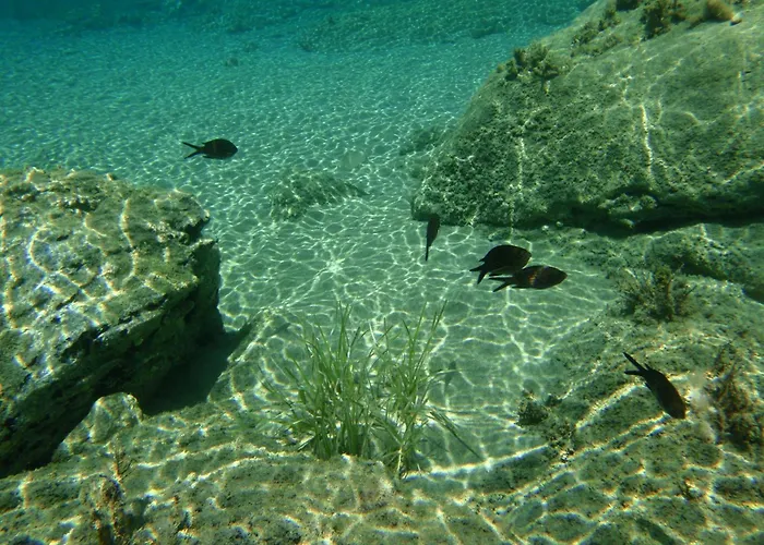 Armonia By Grispos 3* Schoinoussa