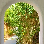 Penzion Armonia By Grispos