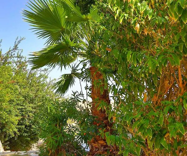 Armonia By Grispos 게스트하우스